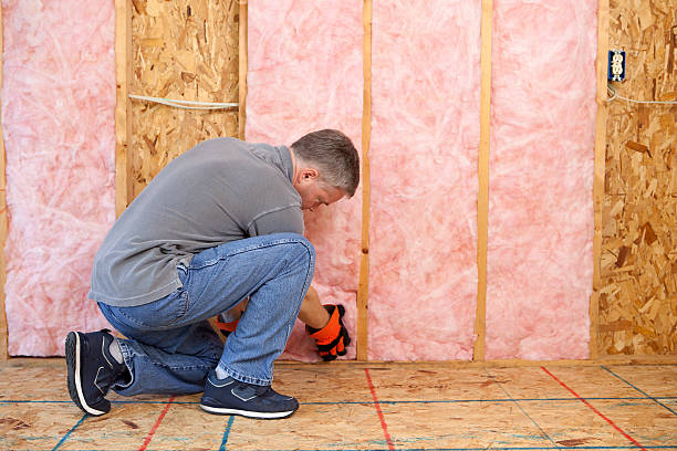 Best Soundproof Insulation  in Foley, AL